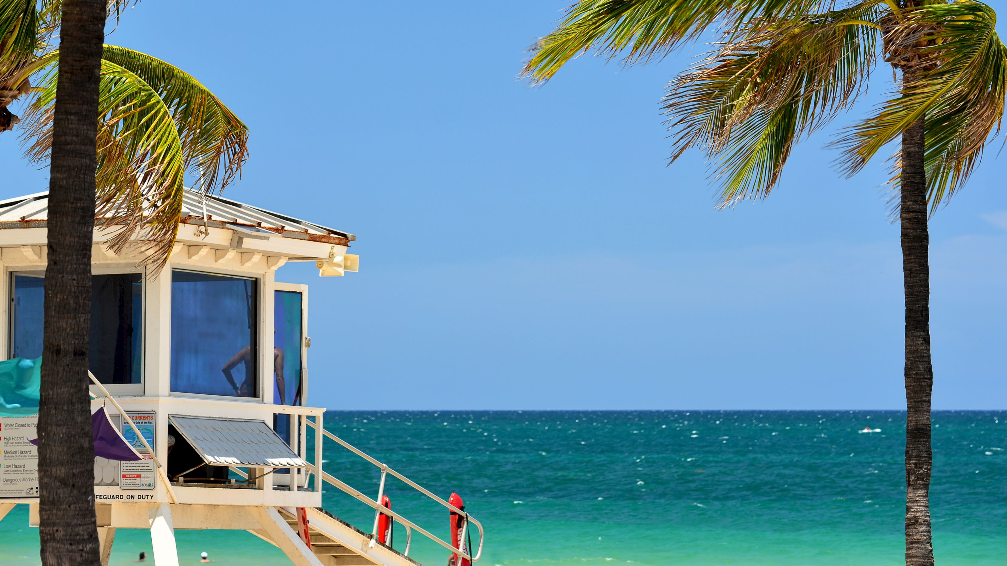 A lifeguard station on a beach with palm trees and ocean view
