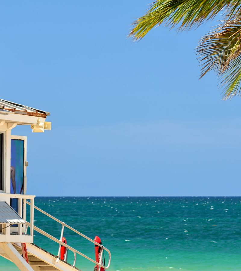 A lifeguard stand on a beach with a view of the ocean and a palm tree in the foreground.