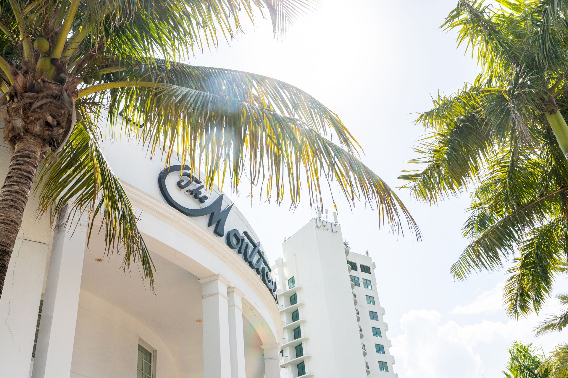 A building with "The Montrose" sign, surrounded by palm trees against a bright sky.