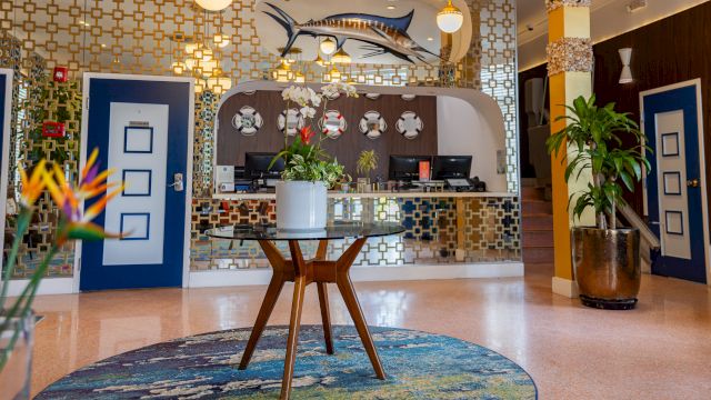 A hotel lobby with a reception desk, a round rug, and plants.