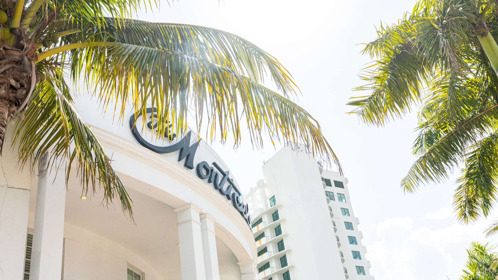 The image shows a white building with columns and a sign, surrounded by palm trees, under a bright sky.